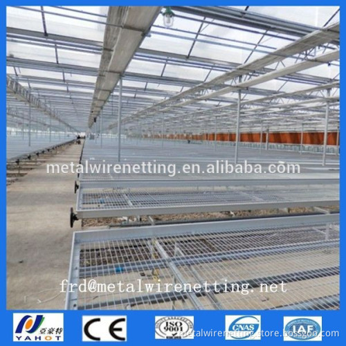 Flower Bed Nets/Greenhouse Seedbed Nets